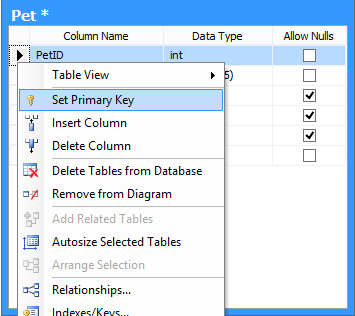 SQL Server 2008 Set primary key